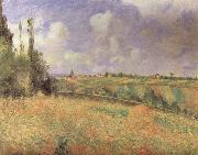 Camille Pissarro, Rye Fields at Pontoise